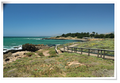 Download Moonstone Beach Cambria Open Pics