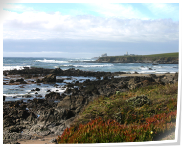 pieras blancas