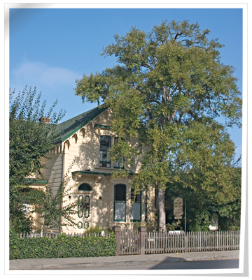 squibb house