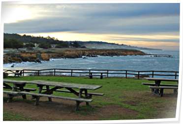 picnic tables