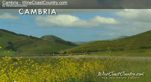 wine coast country cambria video
