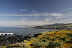 cambria