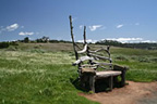 fiscalini bench